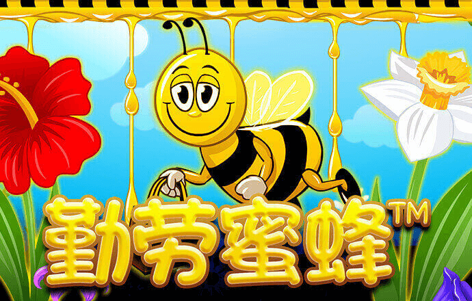 b33体育网址